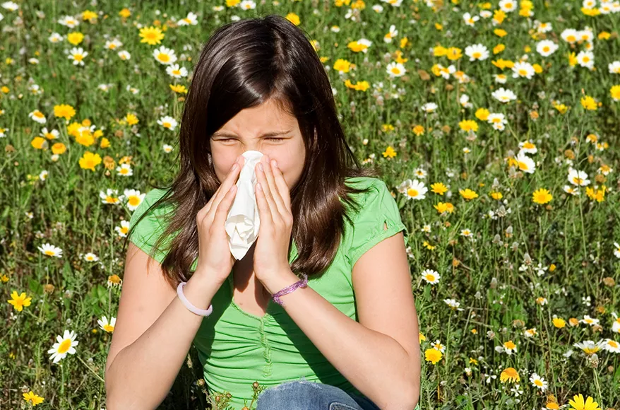 hooikoorts-luchtreiniger-informatie hooikoorts-luchtreiniger-informatie