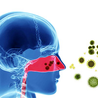 Luchtreiniger nieuws allergische klachten